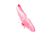 kelebek
